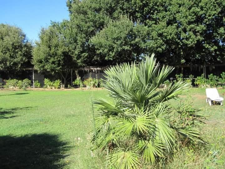 Parco Delle Streghe Villa Scarlino Exterior photo