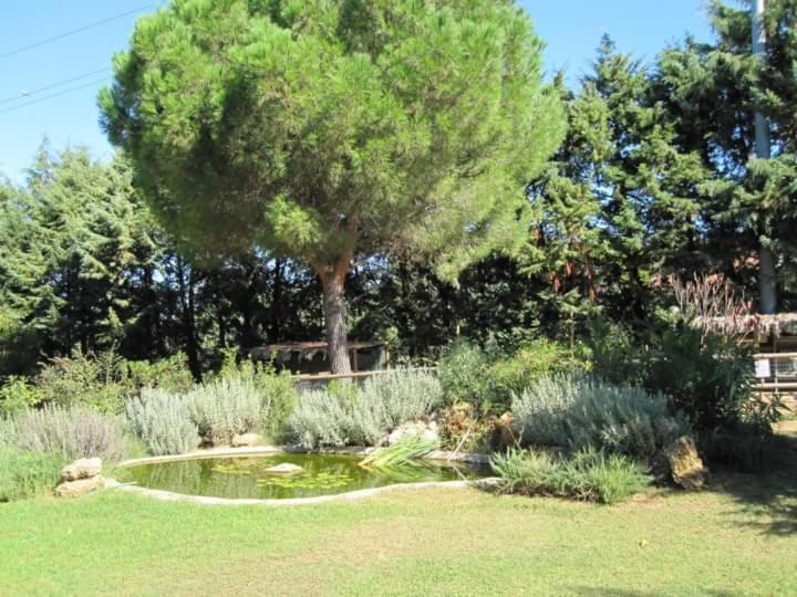 Parco Delle Streghe Villa Scarlino Exterior photo